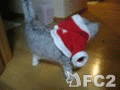 動画:クリスマス