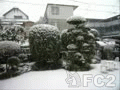 動画:snw